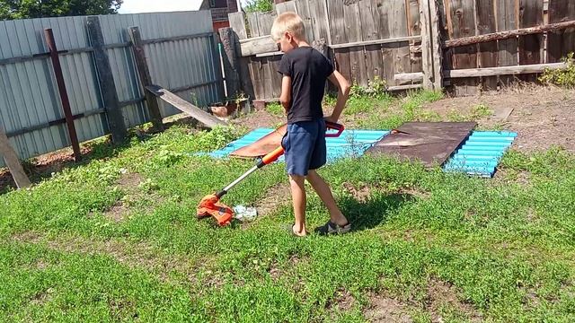 новое развлечение