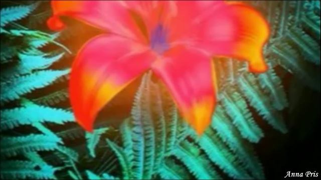 НОЧКОЙ ЛЕТНЕЙ, НА КУПАЛУ. Стихи. Р. Мартысь, муз. Н. Жуков, вокал. Л. Великанова, звук. А. Макалиш