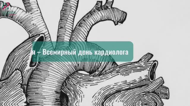 Всемирный день кардиолога