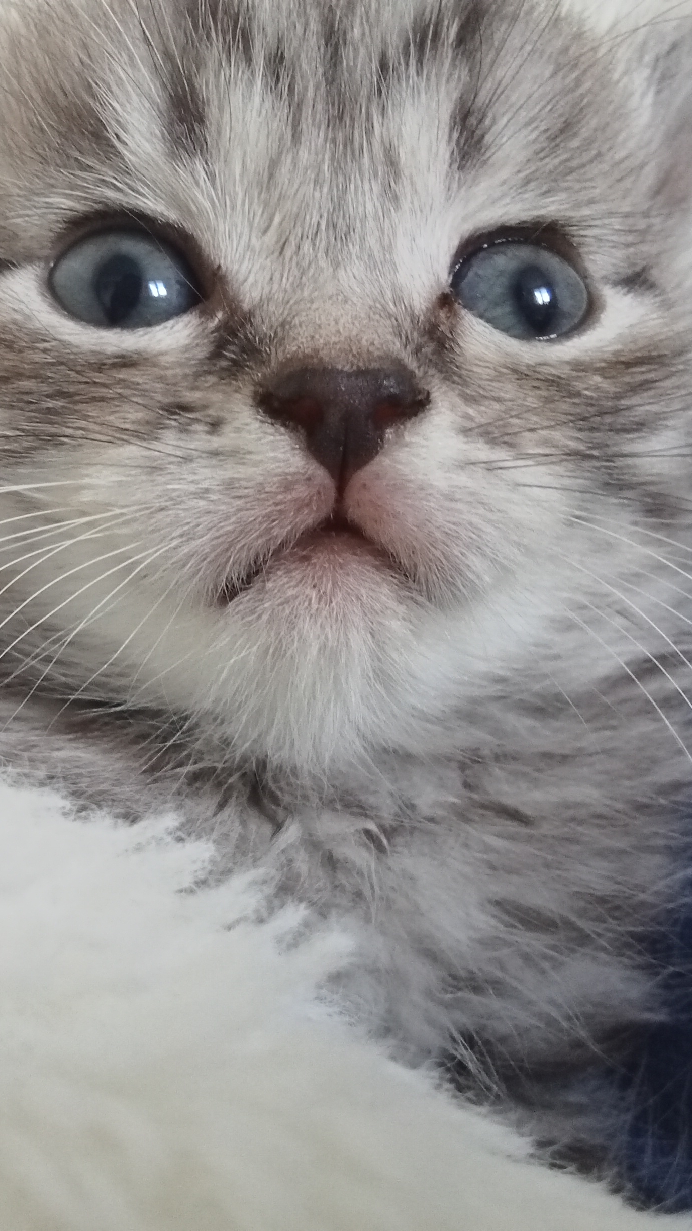 мое чудо❤