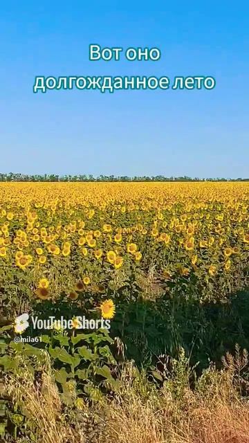 Вот оно долгожданное лето🌻🌻🌻