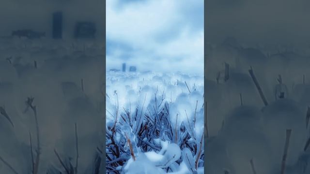 Ласковый Май-ночной звонок