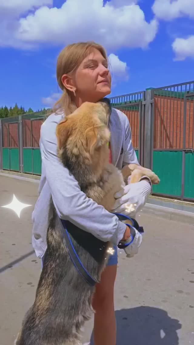 "Непокорённый горизонт" ❥ Приют в Малинках