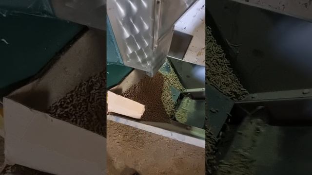 Линия гранулирования комбикормов 1 т/ч.mp4