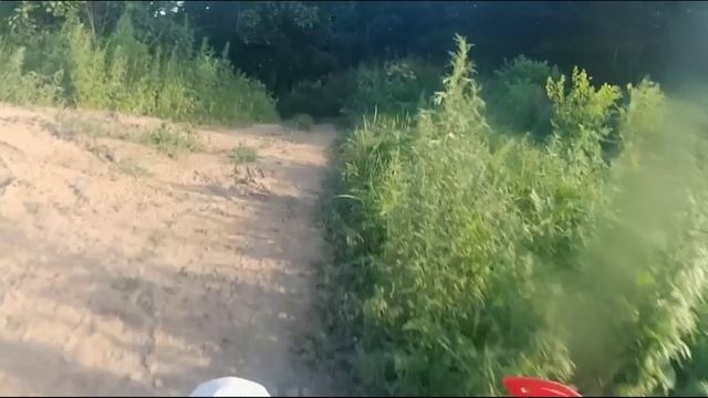 Тропа Осьминога. Золатори,105, Рица