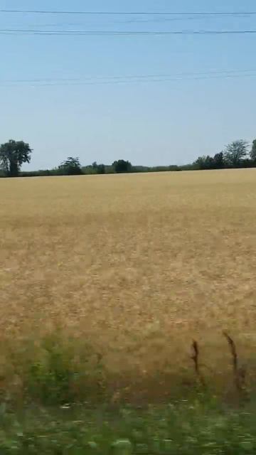 1000268596.mp4