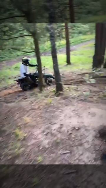 1000024301.mp4