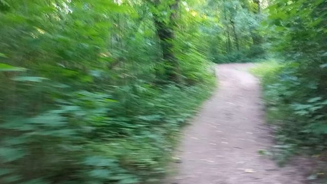 Прогулка на природе - (2)