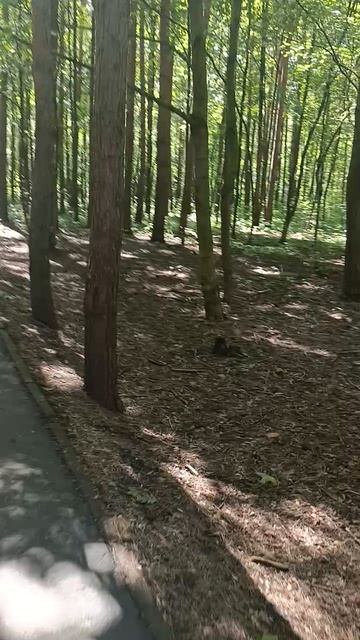 В парке.