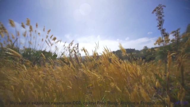 Эти ноты - поцелуй солнца! - Missin U feat. Oilwell -- Phillip Gross -- Jupiter