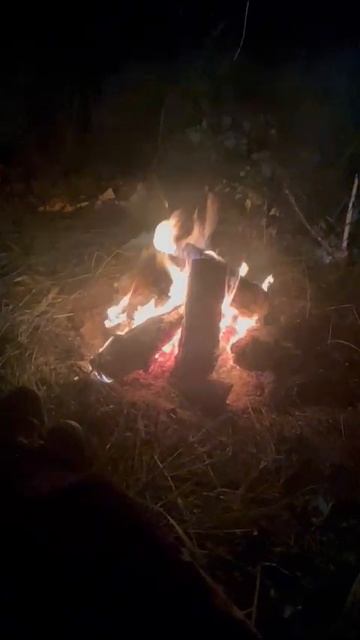 Ночной костёр 🔥