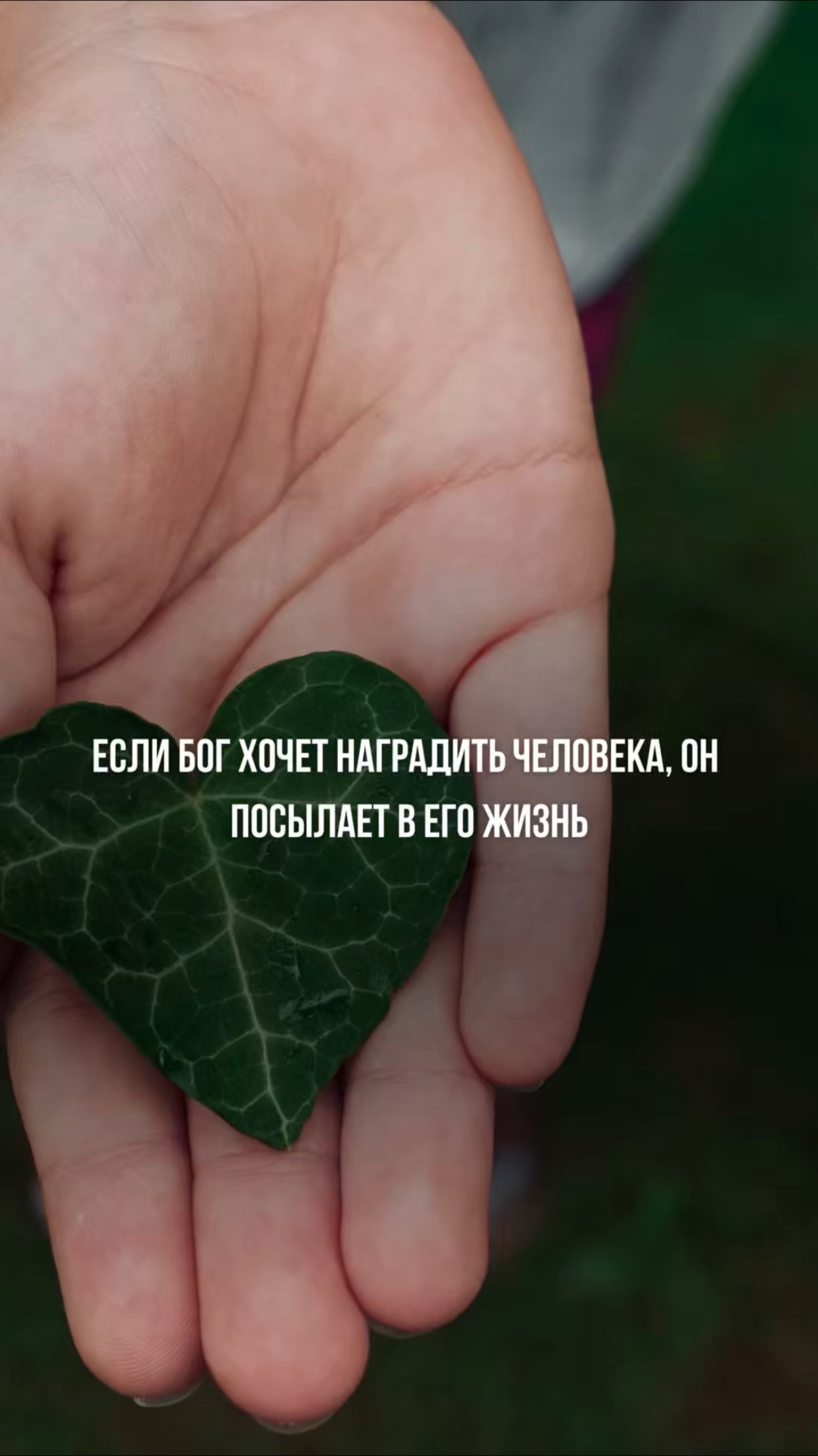 💬 Пиши в комментариях кодовое слово: ЭНЕРГИЯ — и я вышлю тебе еще больше полезной информации ✅