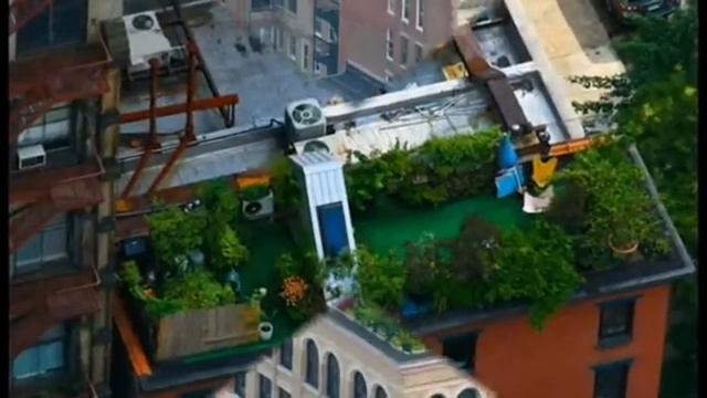 Сад который можно разбить на крыше