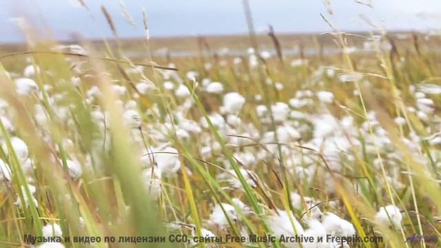 Звук уносит туда, где заканчиваются карты и дороги - Symphony No. 1 IV. Hope -- Steve Combs -- Symph