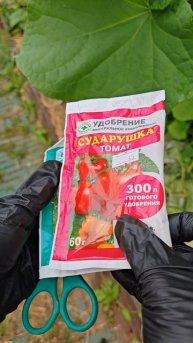 Сделайте это сейчас, огурцы и помидоры завалят вас урожаем.