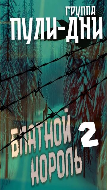 Группа Пули Дни - Блатной Король 2