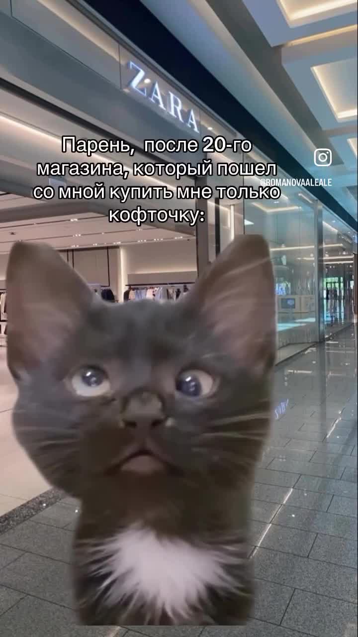 Идея с кричащей кошкой 🔥