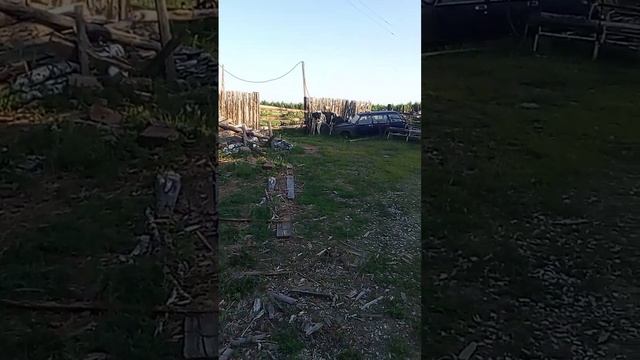 Первая партия сена, 8.07.25