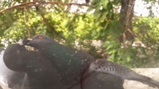 9.97.25г/их я не брошу.