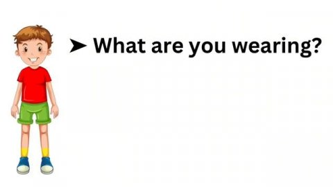 Daily use English phrases for Beginners