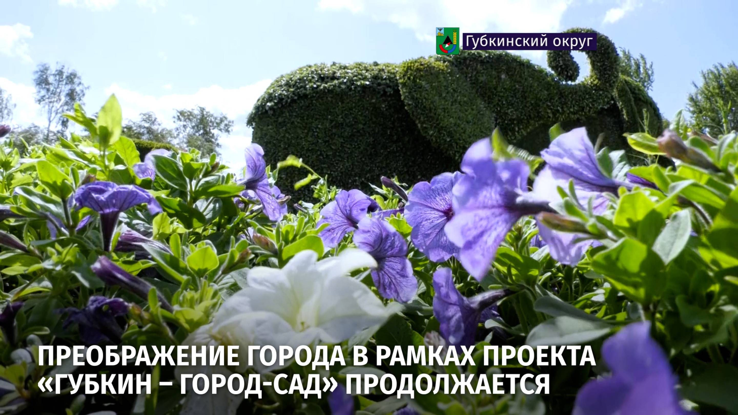 Преображение города в рамках проекта «Губкин – город-сад» продолжается
