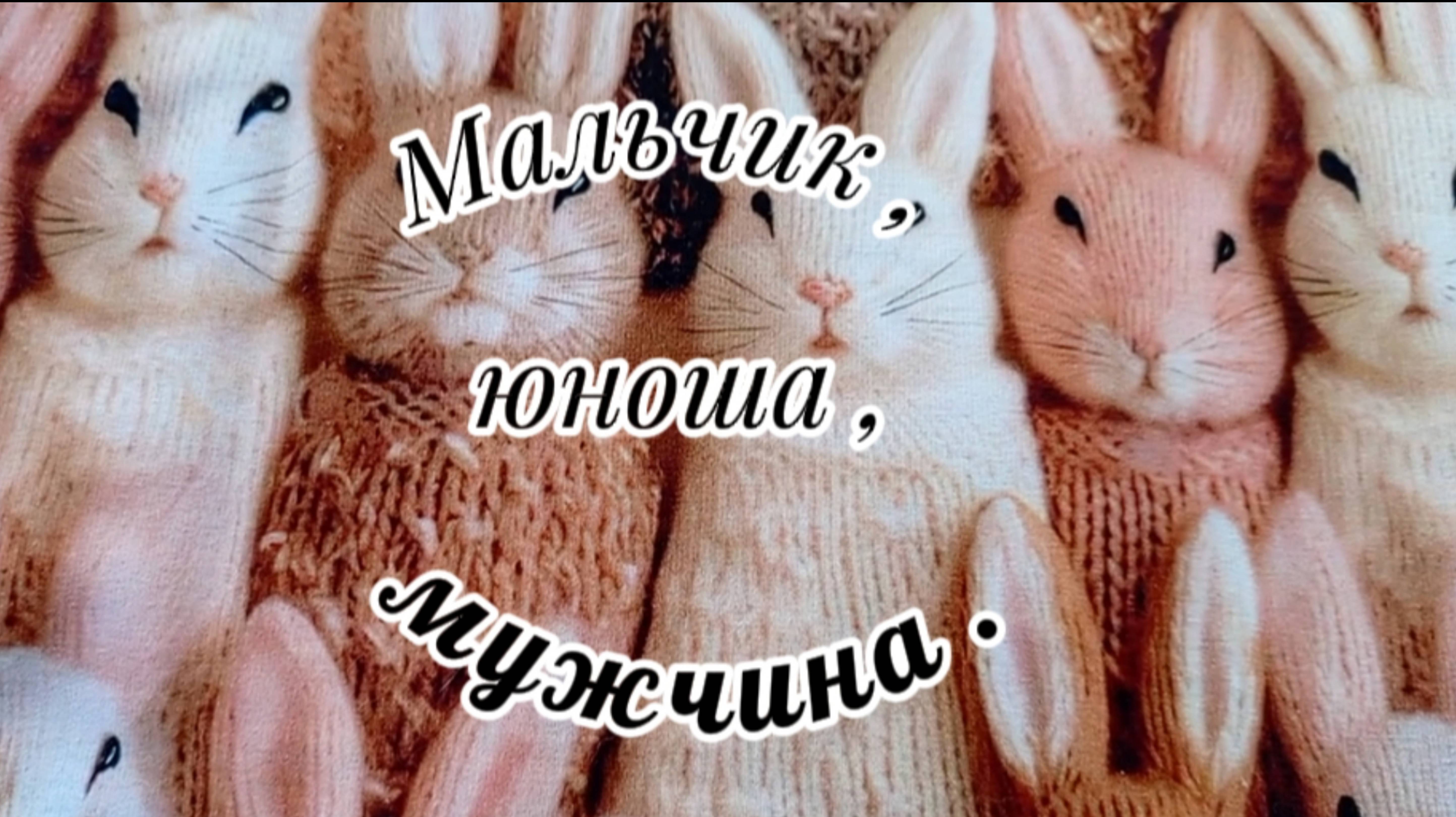 СП" Мальчик, юноша, мужчина". Сезон 2. Итоги.