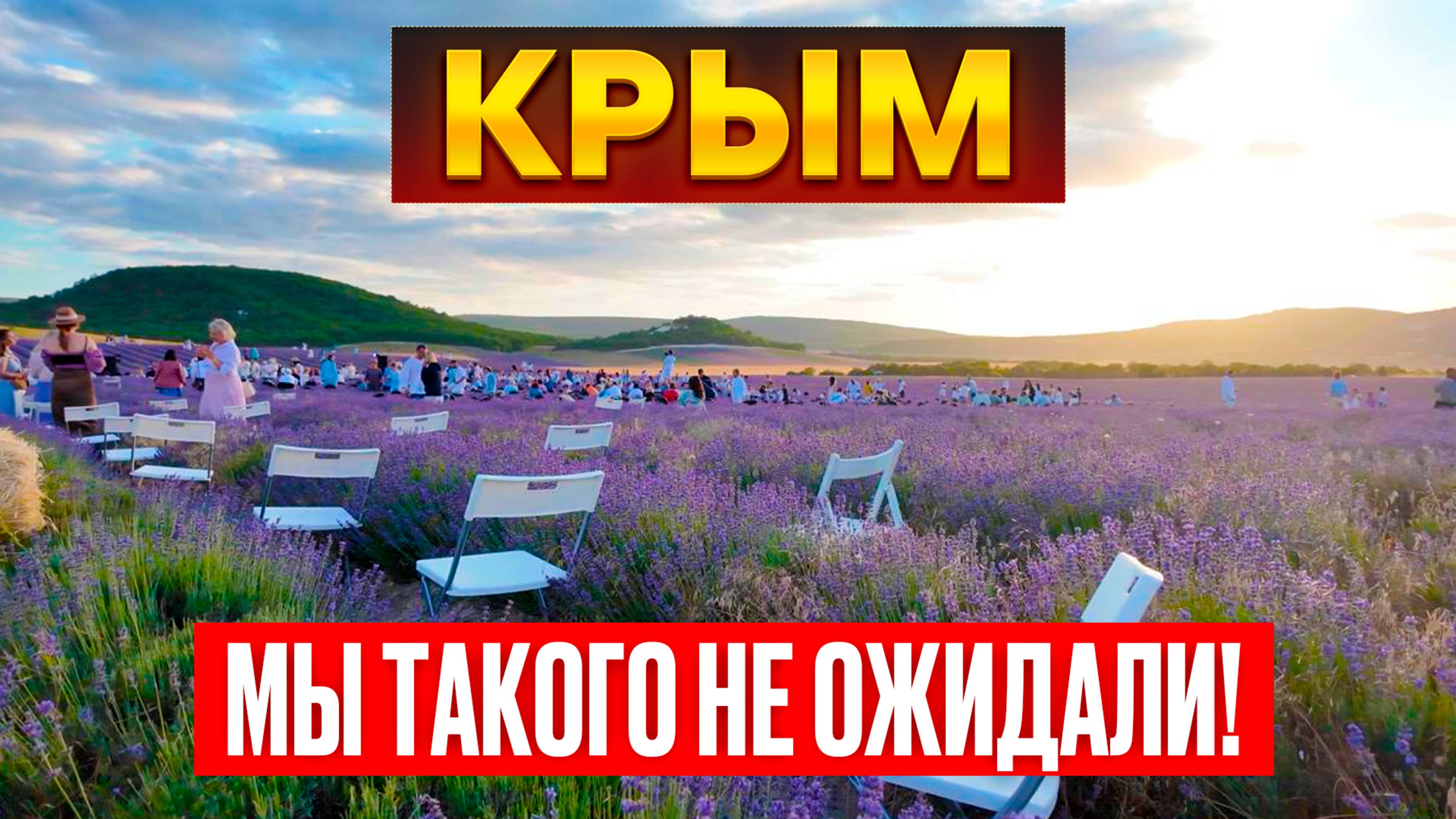 Мы не верили своим глазам: Крым удивил фиолетовыми полями!