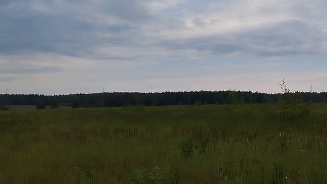 Торги на земельный участок с КН 50:04:0140604:736