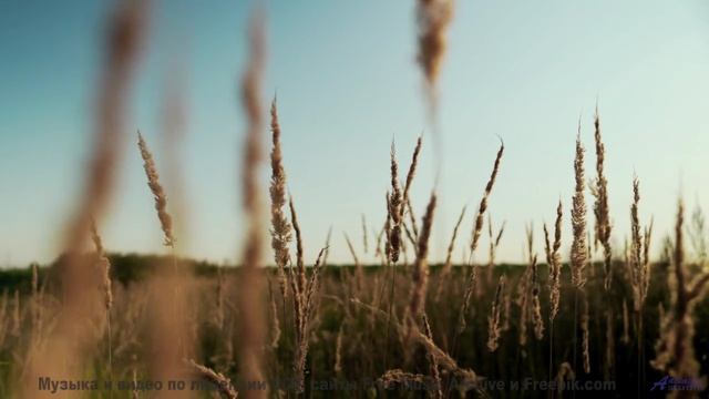 Это ИЗМЕНИТ твое восприятие природы! - Montevideo -- Duncan Reid and the Big Heads -- Live at Monty