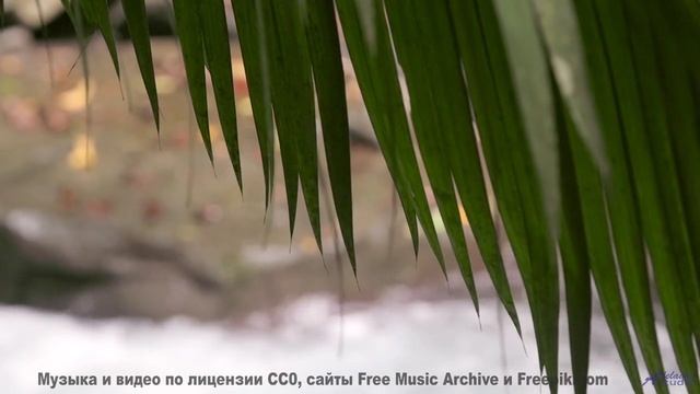 Музыка, которая бросает вызов законам физики! - Side 2 -- Colin Langenus -- Live Loop Hand Signal Im