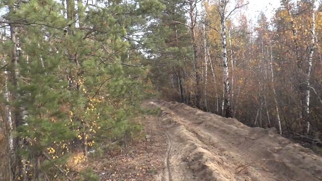 2020окт11-2 осень сормовских болот 2