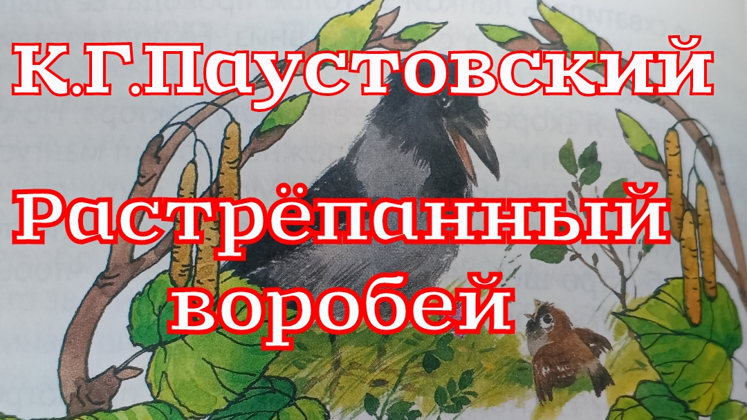 Рассказ «Растрёпанный воробей» К.Г.Паустовский