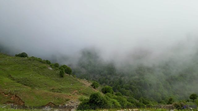 Этот клип и музыка - симфония спокойствия и силы природы - The Woman With The Invisible Necklace --