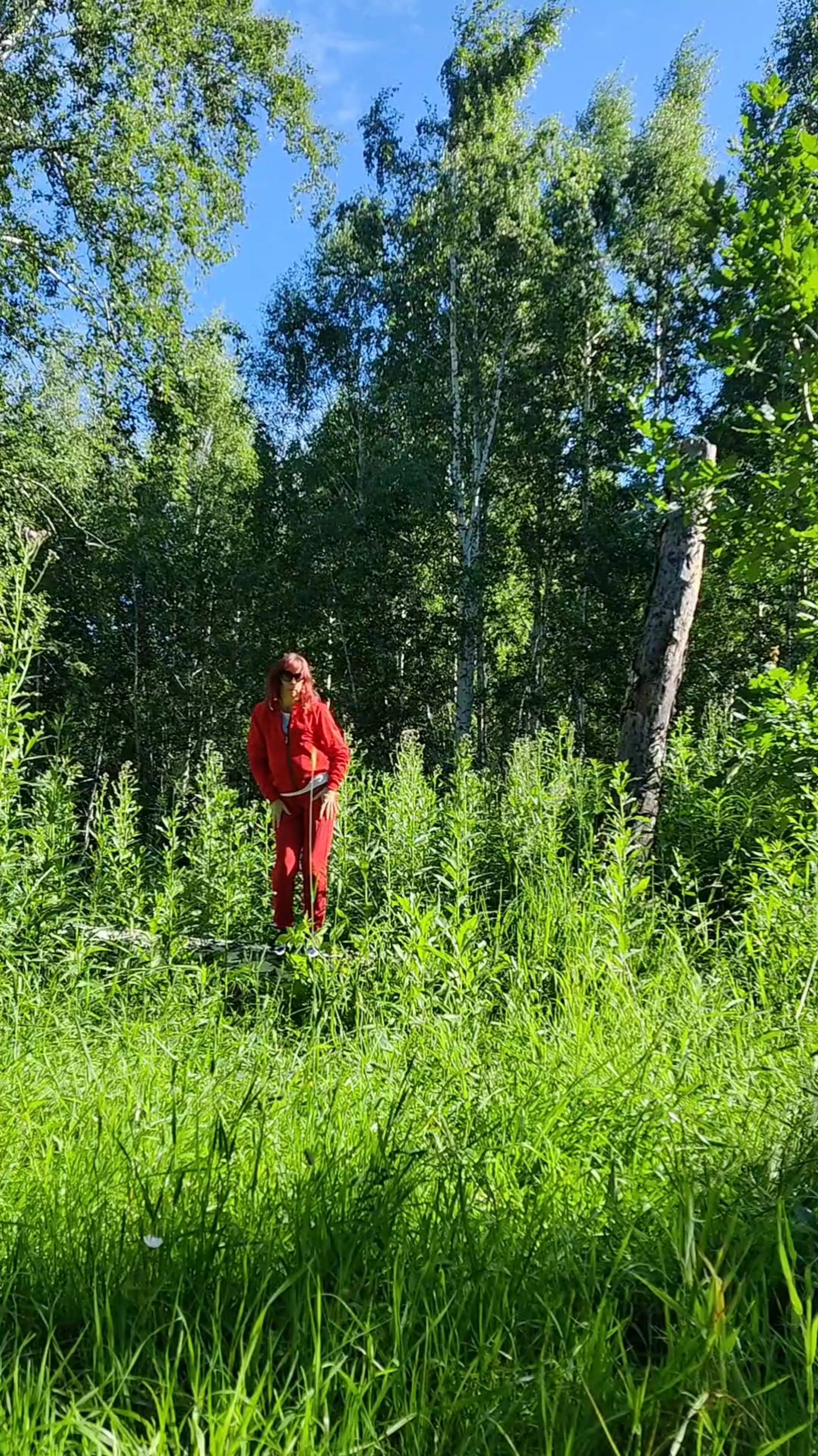 Пробуждающая утренняя прогулка в лесу