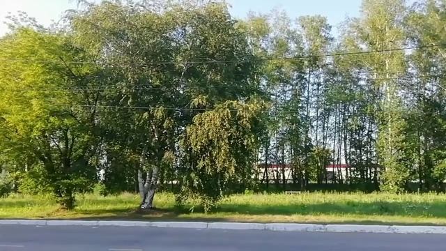 Можно там найти печенье - сахарное приключение?