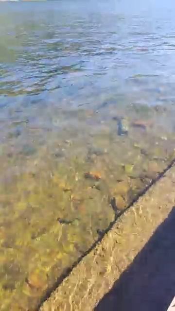 Отдыхайте чаще у воды 💦