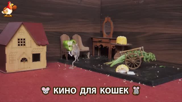 Видео для кошек про крысок развлекать питомцев 🐭🐀😂 (197)