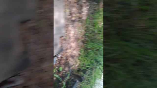 нашли секретное здание