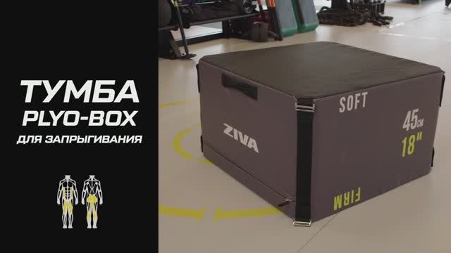 Тумбы для фитнес-тренировок: что это такое и как пользоваться оборудованием?