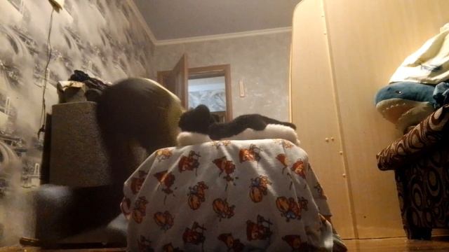 почему я плохо прыгаю?