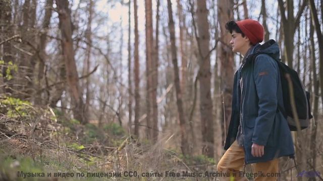 Эти виды и этот трек - твой новый путь к вдохновению - love in this land -- Westy Reflector -- ciphe