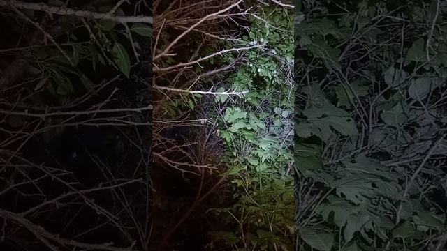 1000685143.mp4
