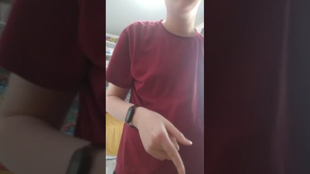 скулбой читы