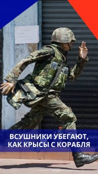 ВСУшники убегают со своих позиций целым отделением. Яркое видео из Запорожской области. Как вам?