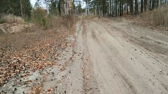 2020окт18-4 осень сормовских песков 4