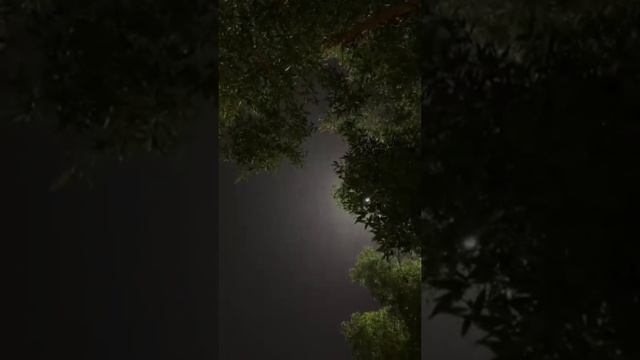 1000080098.mp4