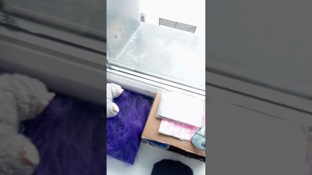 обустраиваю комнату лабубу
