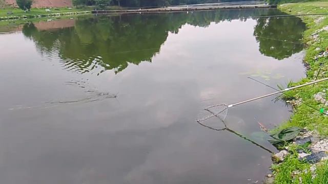 1000074510.mp4