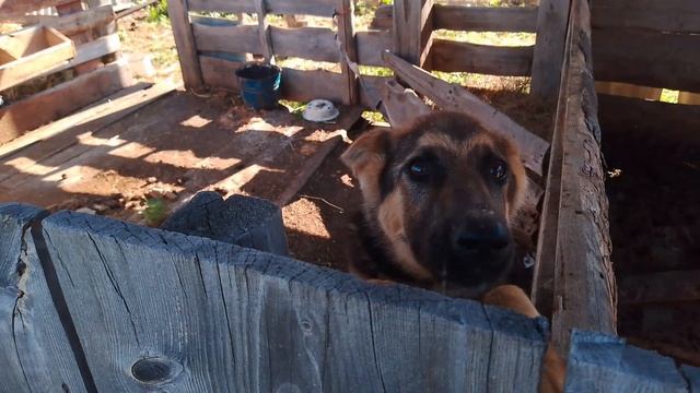 а мы продолжаем/ продолжение дня