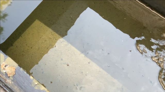 Фильтр биологической загрузки..Своими руками.Месяц эксплуатации.Чистка и много грязи.